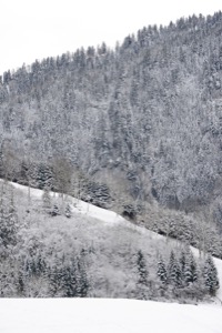 Charmey neige, Gruyère, Suisse