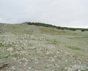 Paysage El Hierro, iles Canaries