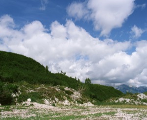 Paysage Slovénie